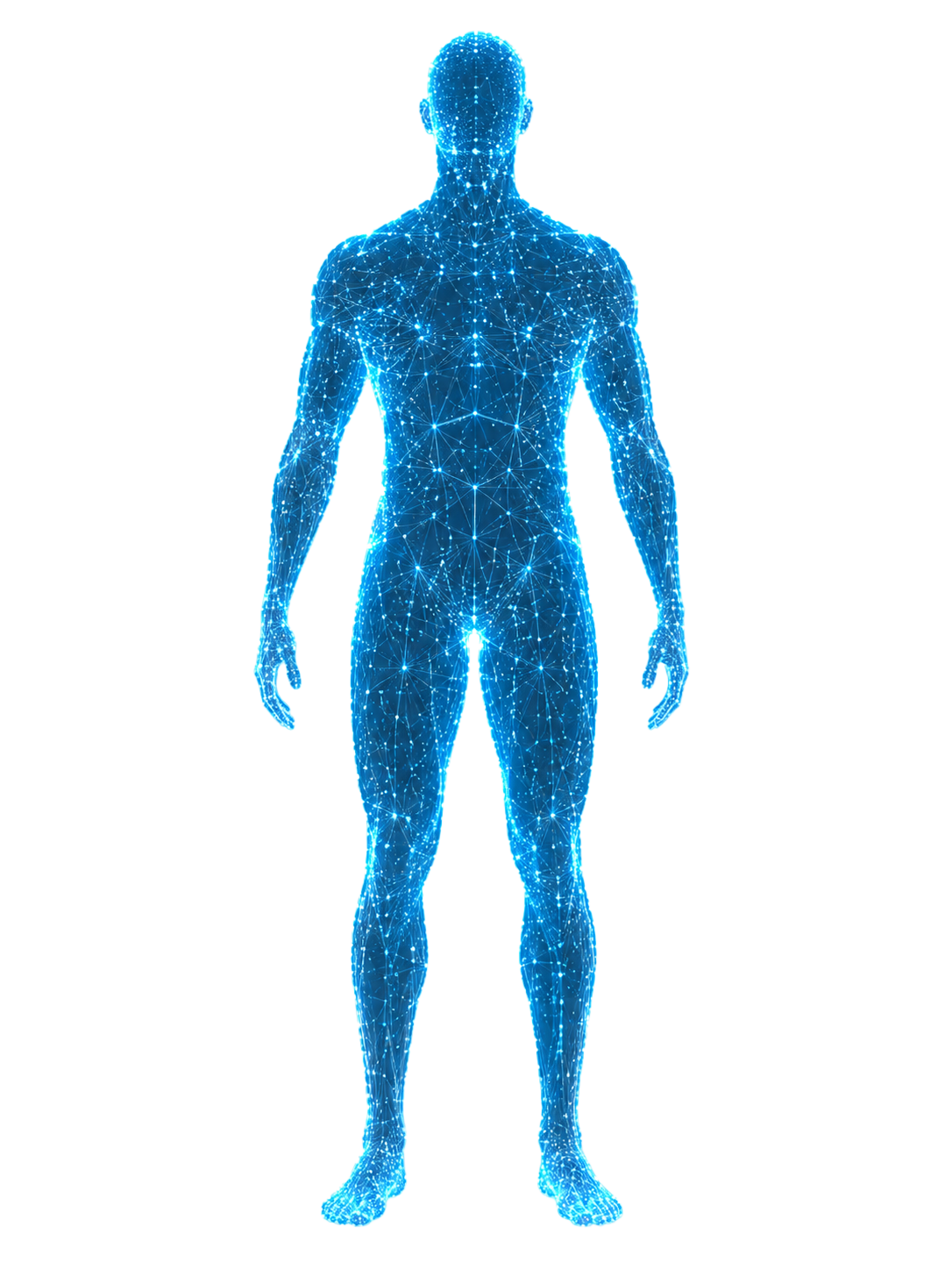 Silhouette digitale astratta a supporto della sezione benefici BODYFY